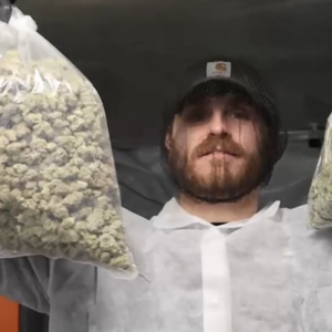 Chris, Budtender